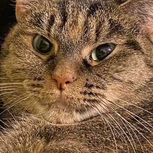 Meet your Posher, Lily